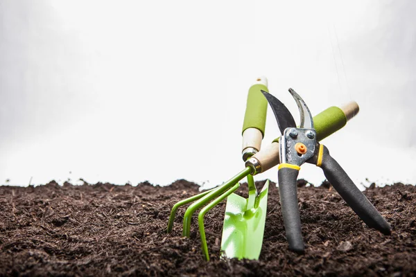 Garden Tools — Stock Photo, Image