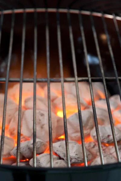 Grill — Stock Photo, Image