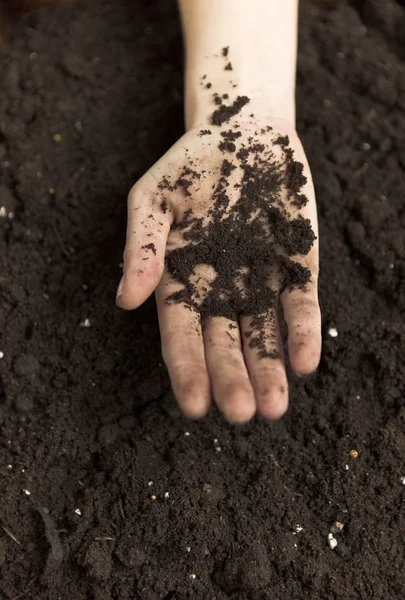 Hands Holding Dirt — Stock Photo, Image