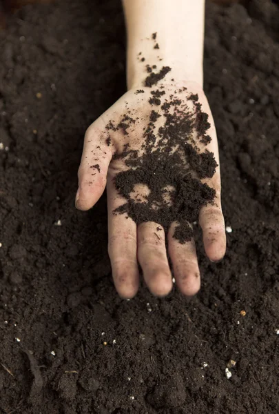 Hands Holding Dirt — Stock Photo, Image