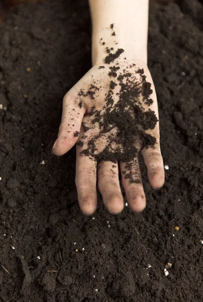 Hands Holding Dirt — Stock Photo, Image