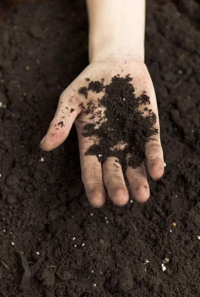 Hands Holding Dirt