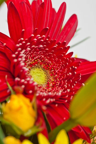 Fleurs sur la voiture — Photo