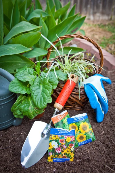 Gartenbereich — Stockfoto