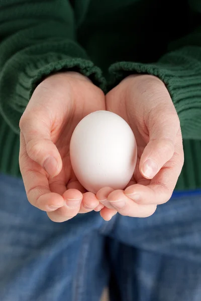 Håller ägg — Stockfoto