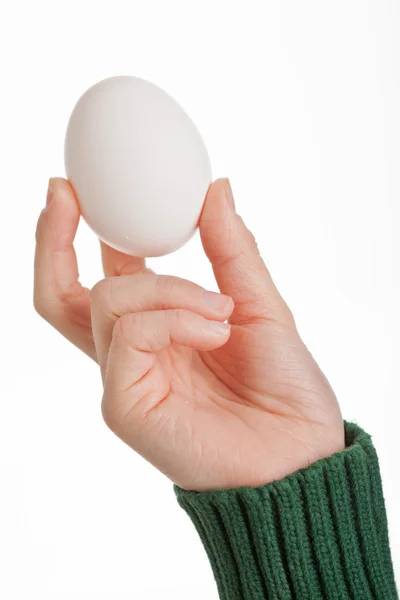 Holding Egg — Stock Photo, Image