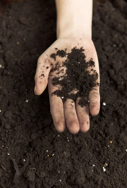 Hands Holding Dirt — Stock Photo, Image