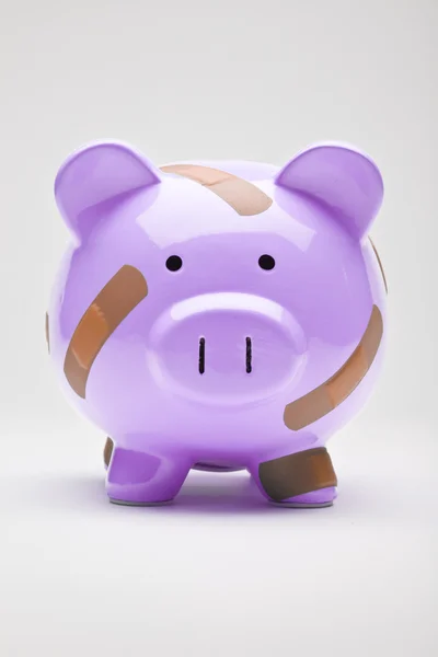Insurance Piggy Bank — Stock Photo, Image
