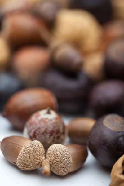 Ořechy pozadí — Stock fotografie