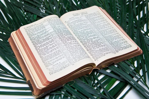 Bibel mit Palmen — Stockfoto
