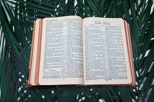 Biblia con palmas — Foto de Stock