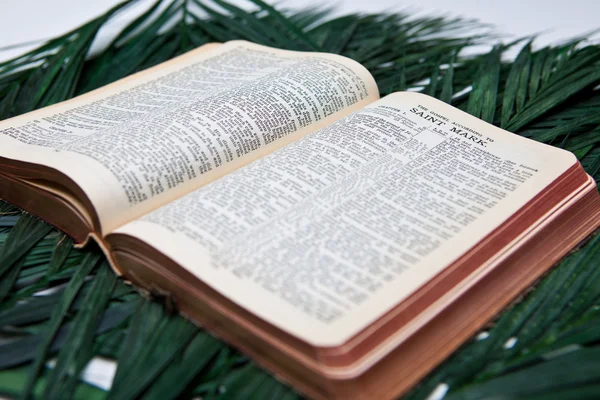 Bibel mit Palmen — Stockfoto