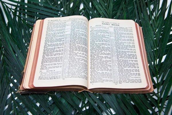 Biblia con palmas — Foto de Stock