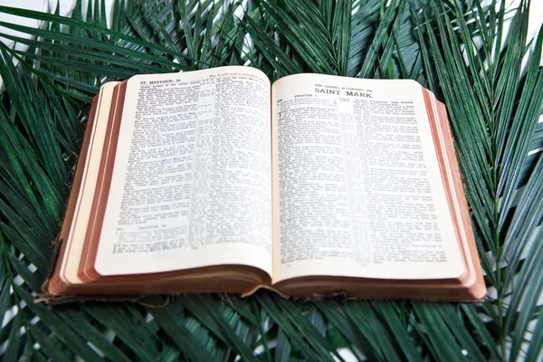 Bibel mit Palmen — Stockfoto