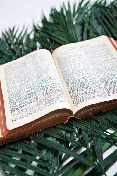 ヤシの木と聖書 — ストック写真