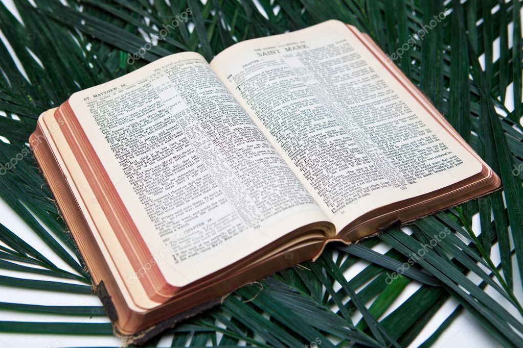Bible with Palms Stock Photo by 48156355