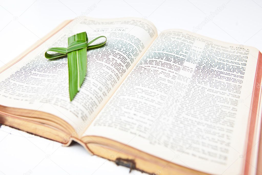 Palm Cross and Bible