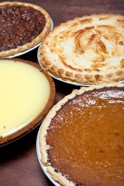 Turtalar
