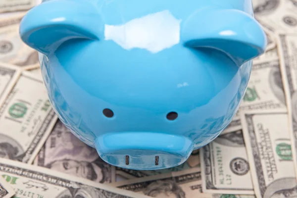 Piggy Bank and Money — Stock Photo, Image