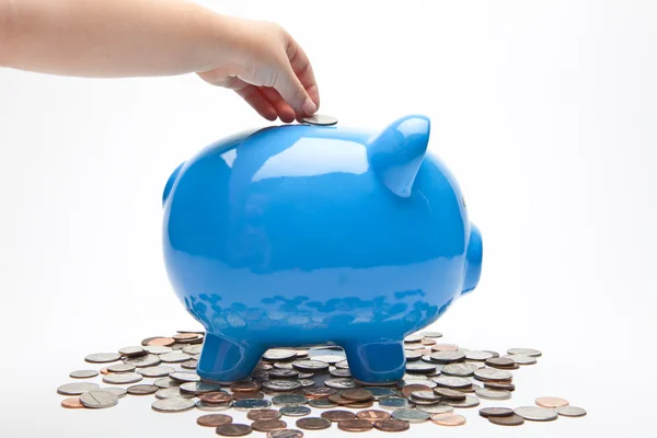 Piggy Bank and Money — Stock Photo, Image