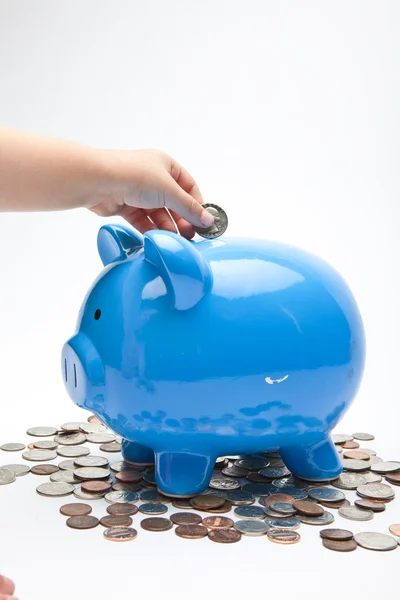 Sparschwein und Geld — Stockfoto