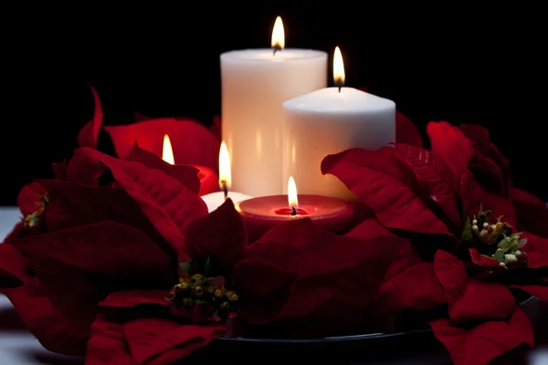 Poinsettia Centerpiece — Stock Photo, Image