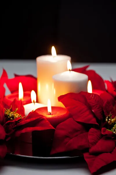 Poinsettia Centerpiece — Stock Photo, Image