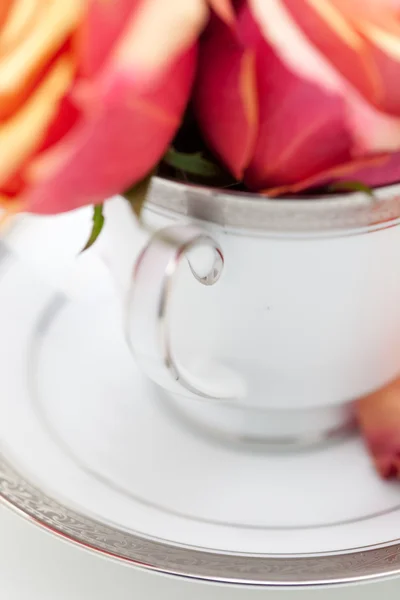 Τσάι Κύπελλο λουλούδια — Φωτογραφία Αρχείου
