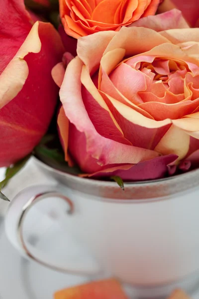 Tea cup květiny — Stock fotografie