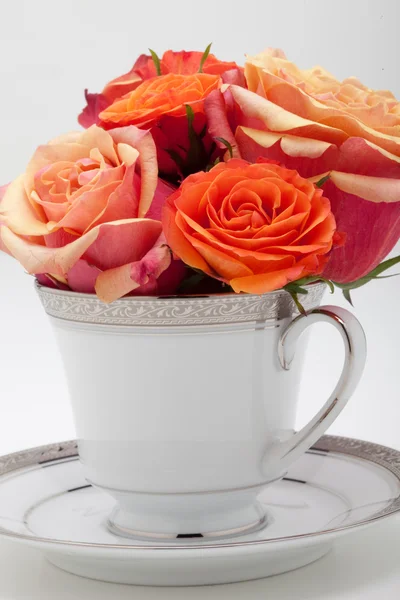 Teetasse Blumen — Stockfoto