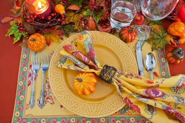 Thanksgiving dinerŞükran günü yemeği — Stok fotoğraf