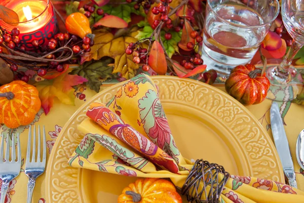 Thanksgiving dinerŞükran günü yemeği — Stok fotoğraf