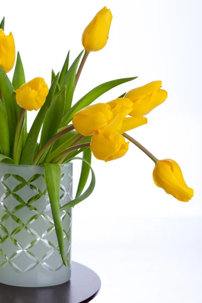 Gele tulpen — Stockfoto