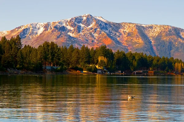 Tahoe-See — Stockfoto