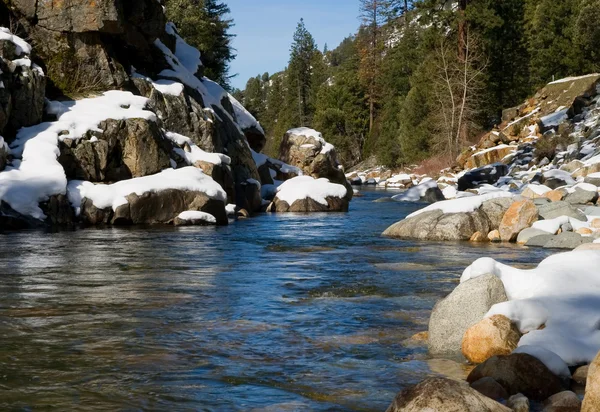 Flod i skogen — Stockfoto