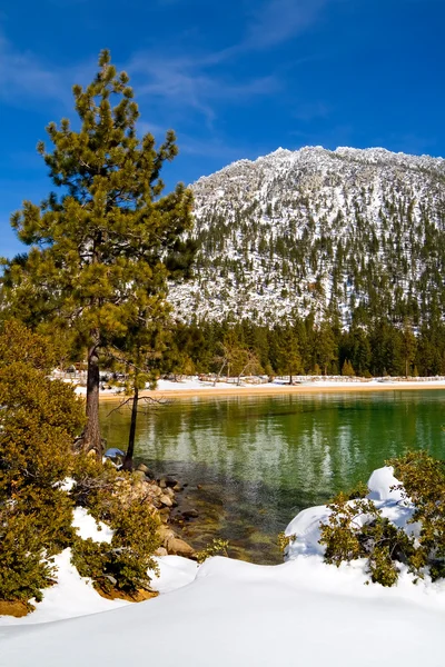 Lago Tahoe — Fotografia de Stock