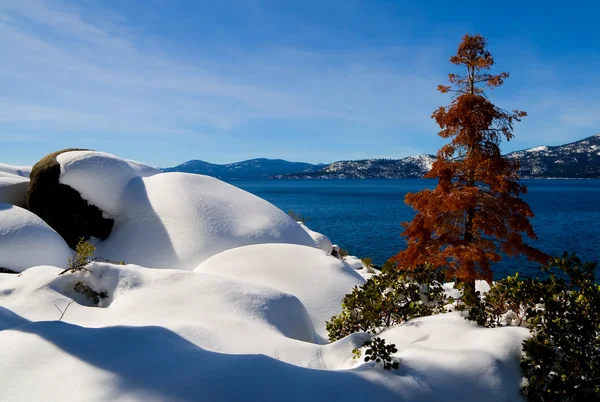 Jezioro tahoe — Zdjęcie stockowe