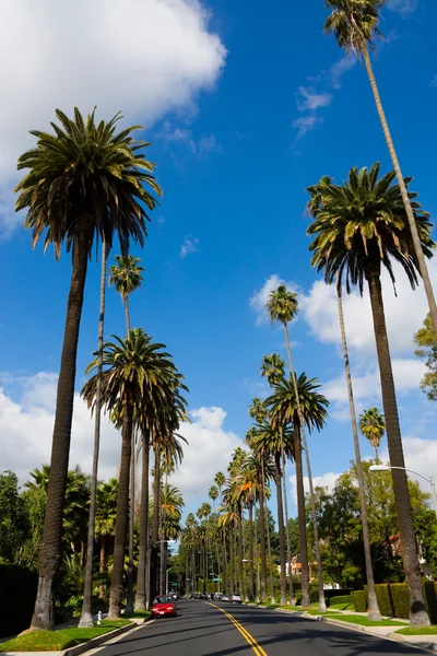 Beverly hills — Fotografia de Stock