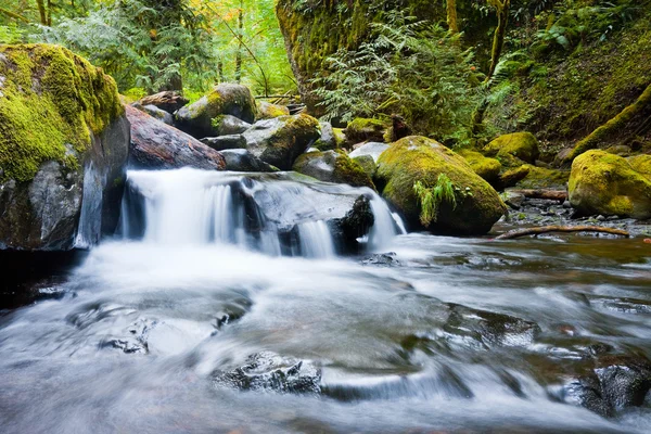 Waterfalls — Stock Photo, Image