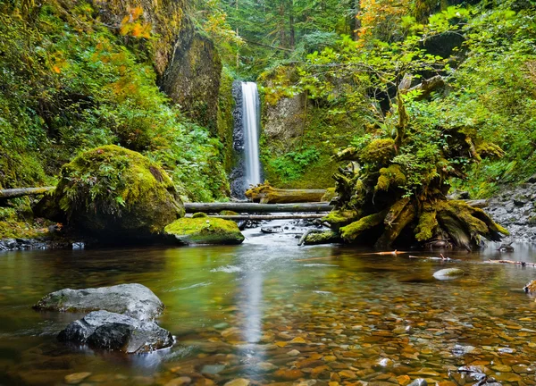 Weisendanger faller — Stockfoto