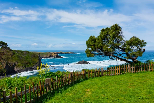 California Coast — Stock Photo, Image