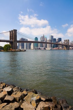 New York Şehri