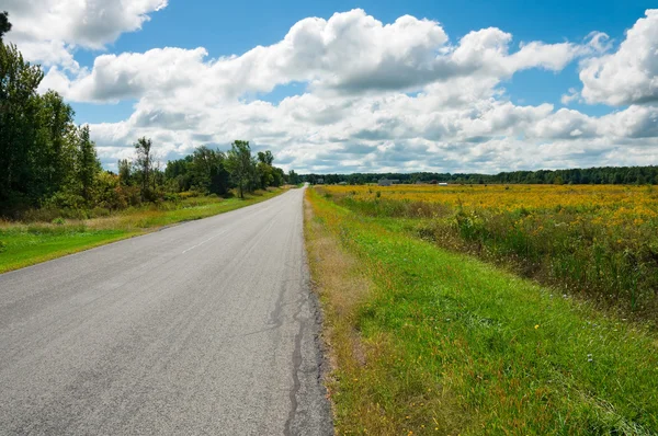 Country road — Stock Photo, Image