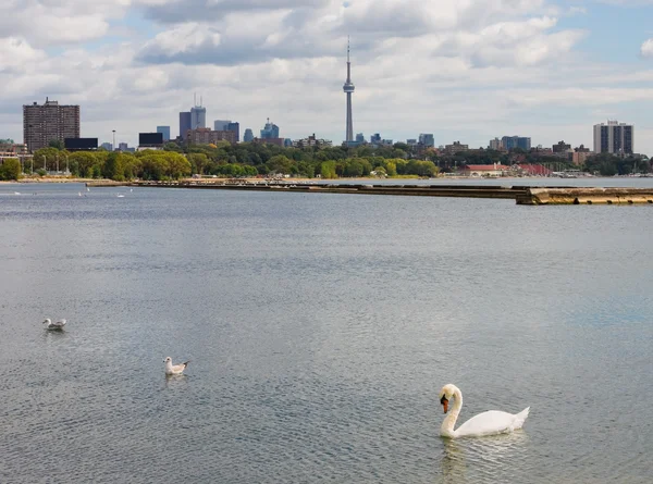 Toronto Kanada — Stockfoto