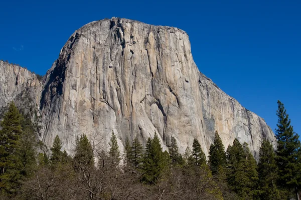 Yosemite Milli Parkı Kaliforniya — Stok fotoğraf
