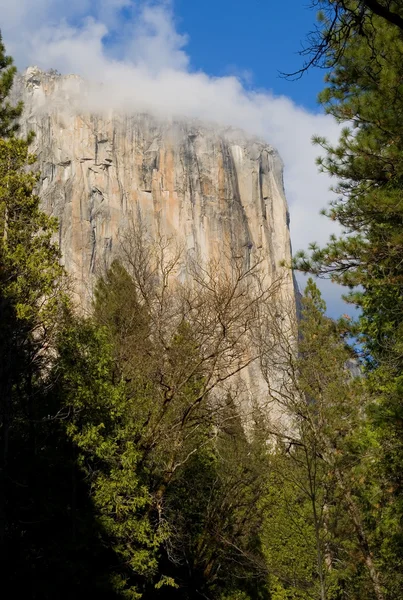 Yosemite-Tal — Stockfoto