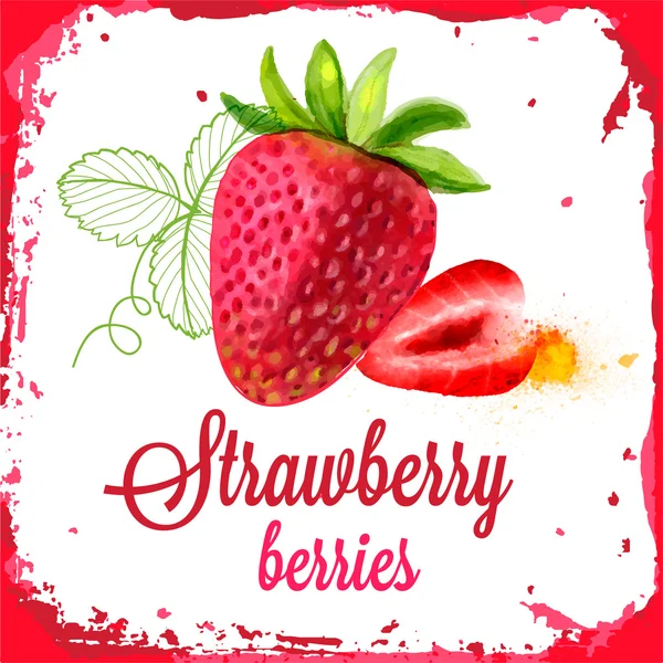 Strawberry vektor akvarell — Stock vektor