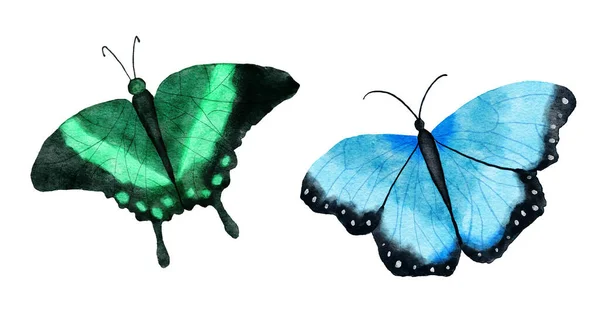 Acuarela ilustración dibujada a mano de dos insectos mariposa brillante. Mariposas de bosque natural en colores negros verdes azules. Vida silvestre naturaleza ecología concepto. — Foto de Stock