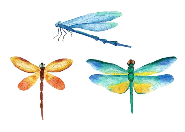 Akwarela ręcznie narysowana ilustracja trzech jaskrawych owadów ważki. Naturalne leśne ważki w niebiesko-żółtych, zielonych pomarańczowych kolorach. Koncepcja ekologiczna dzikiej przyrody — Zdjęcie stockowe