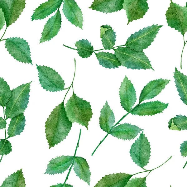 水彩画手绘无缝图案,绿叶天然叶绿素,野草印花图案.墙纸织物的精致叶背. — 图库照片